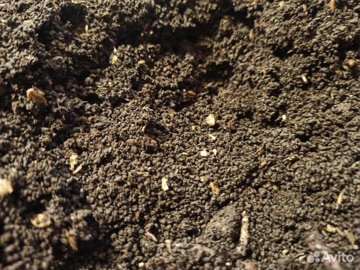 Биогумус, вермикомпост