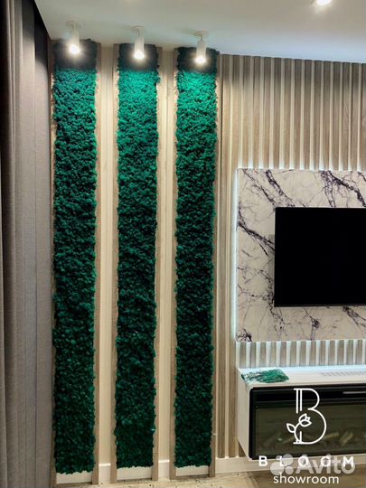 Стабилизированный мох. Зелень не требующая ухода