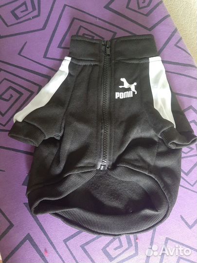 Одежда для маленькой собачки