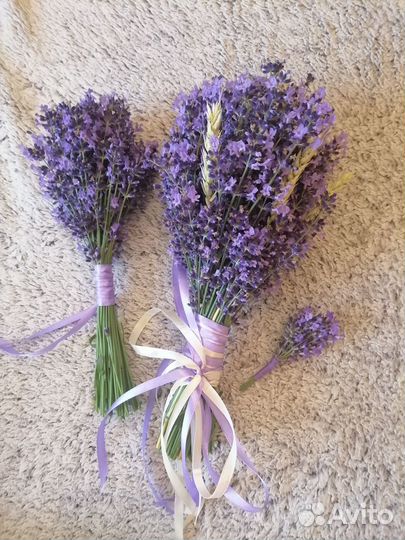Букет лаванды