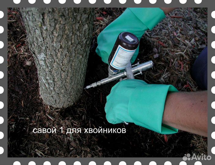 Лечение деревьев,уничтожение короеда,покос и тд