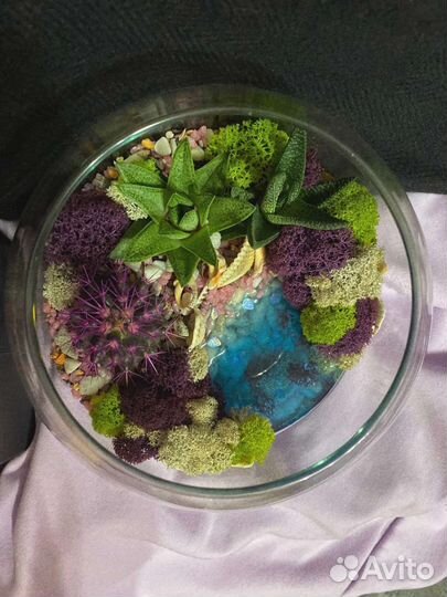 Флорариум пустынный
