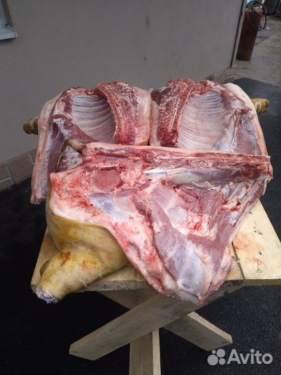 Мясо свинина домашняя
