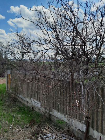 Дом 118 м² на участке 6 сот.