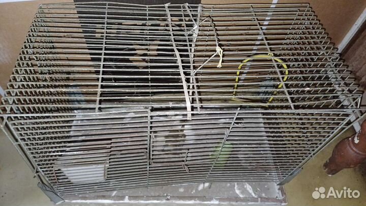 Клетка для попугая