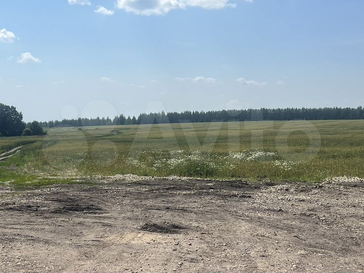 Участок 15 га (СНТ, ДНП)