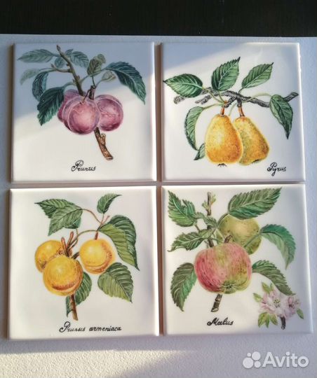 Панно с фруктами. Ручная роспись плитки. Ботаника