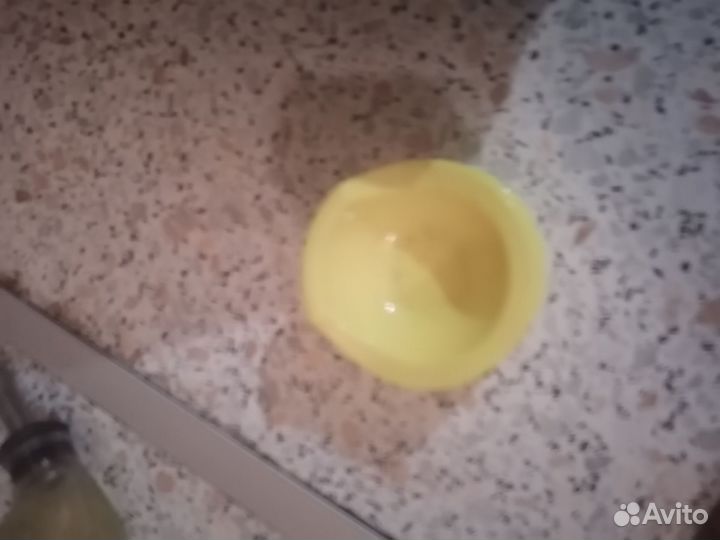 Все для содержания хомячка