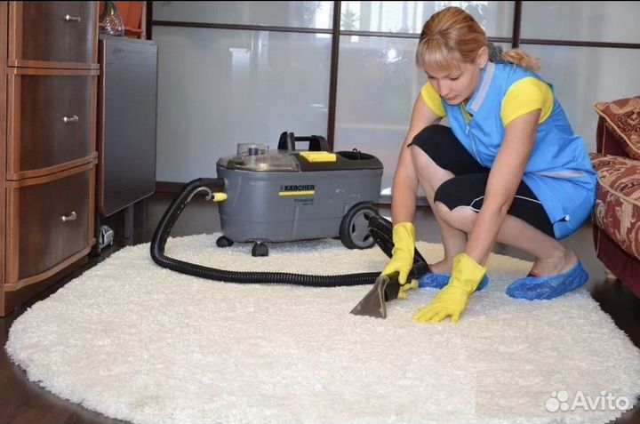 Аренда моющего пылесоса Karcher