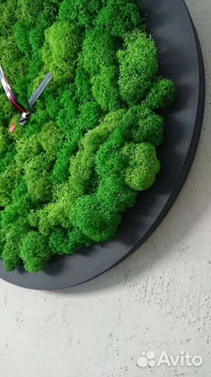 Часы из мха