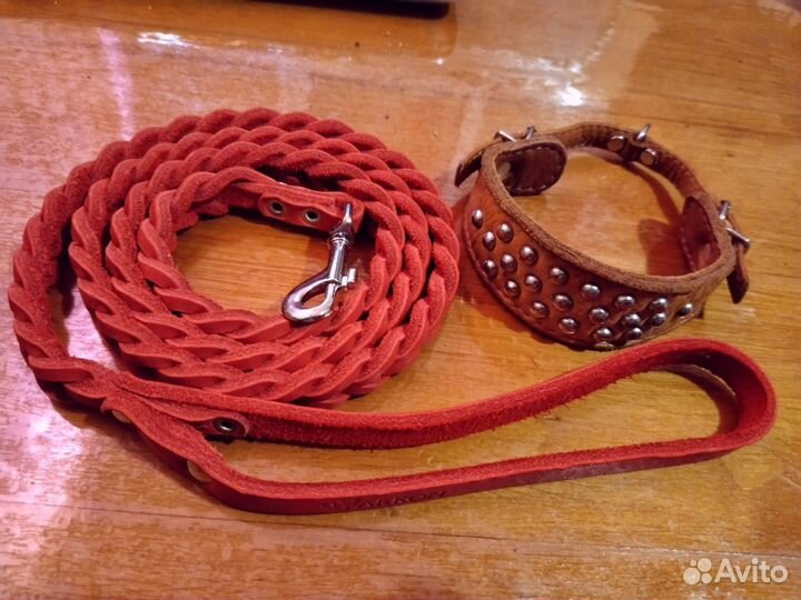 Костюм Шлейка Поводок Дождевик Рюкзак