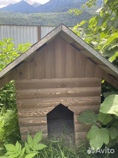 Будка для собаки