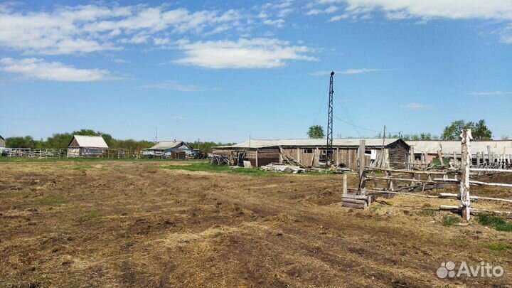 Животноводческая ферма продаю