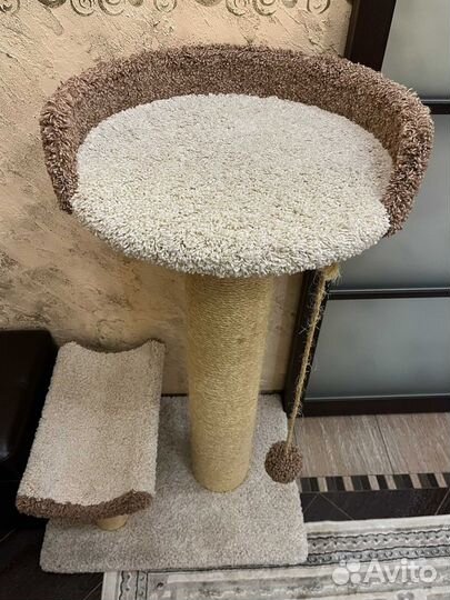 Когтеточка аттракцион