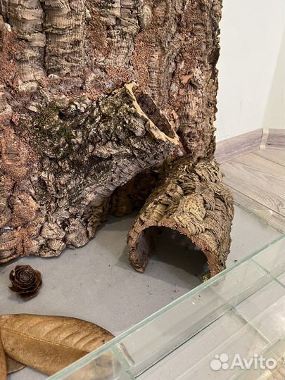 Домики (укрытие)для террариумных животных