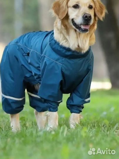 Комбинезон для собак дождевик самец 55М