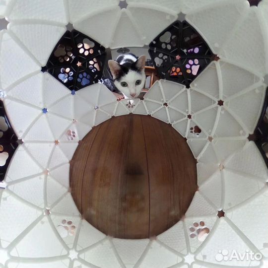 Домик для кошки или собачки новый