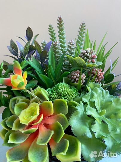 Композиция из суккулентов