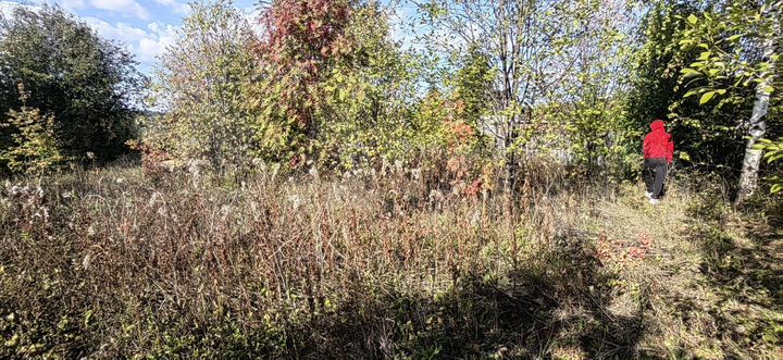 Участок 17,93 га (ИЖС)