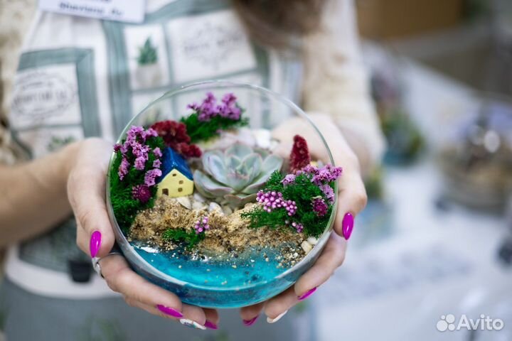 Флорариумы моссариумы подарки