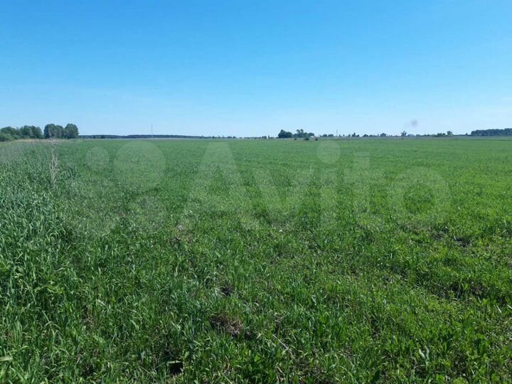 Участок 5,92 га (СНТ, ДНП)