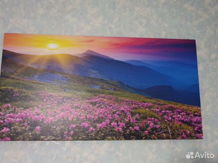 Картина 40х75