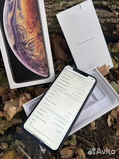 iPhone Xs Max, 256 ГБ