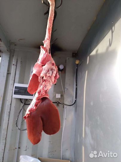 Бараний ливер