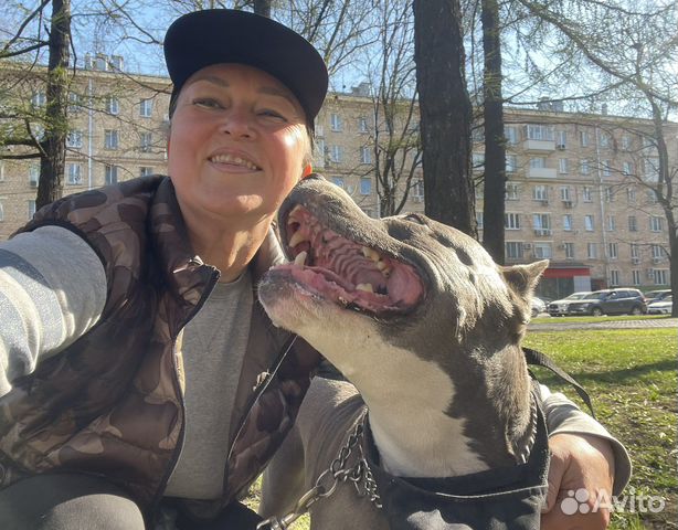 Выгул собак, уход и любовь