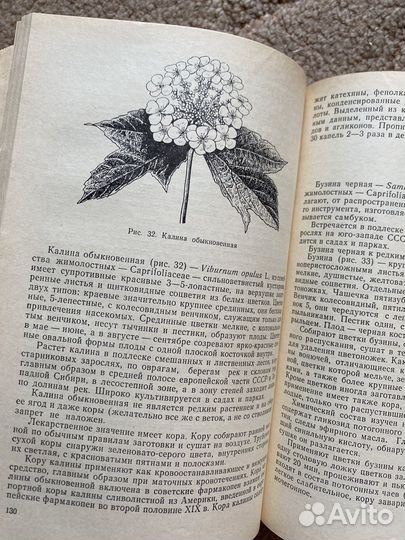 Лекарственные растения СССР