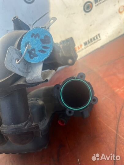 Коллектор впускной Ford Focus 2 1.6 115Л.С 2005-11