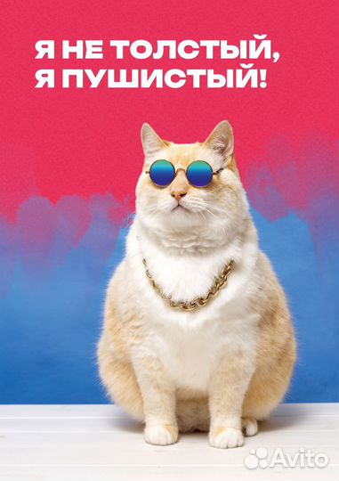 Постер, плакат с юмором 