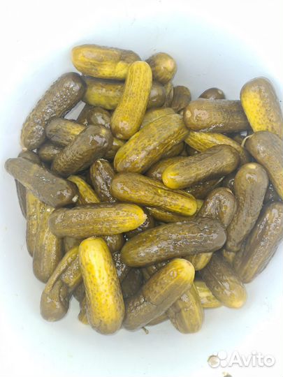 Огурцы соленые бочковые