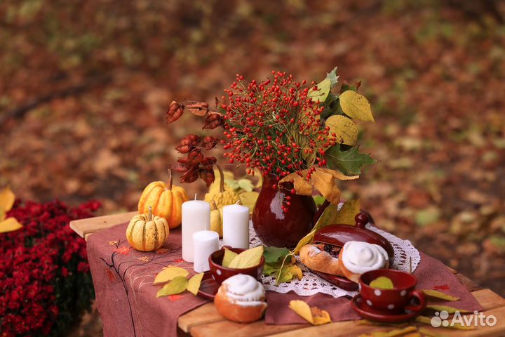 Фотограф, осенний фотодень, фотосессия с животными
