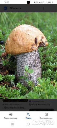 Вахта 2000р в сутки