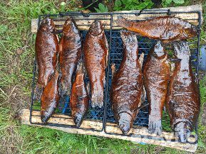 Сорожка (плотва)вяленая с икрой