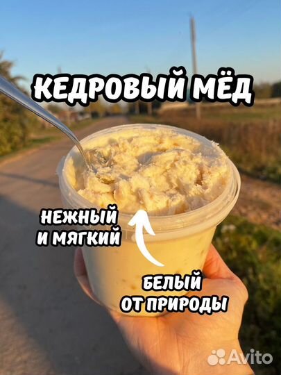 Кедровый белый мед
