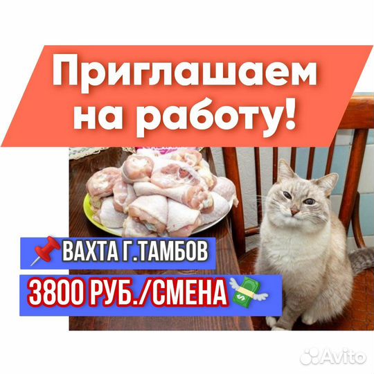 Упаковщики на птицефабрику вахта г.Тамбов