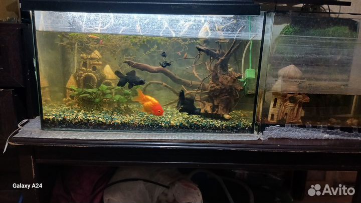 Аквариум с рыбками 100л