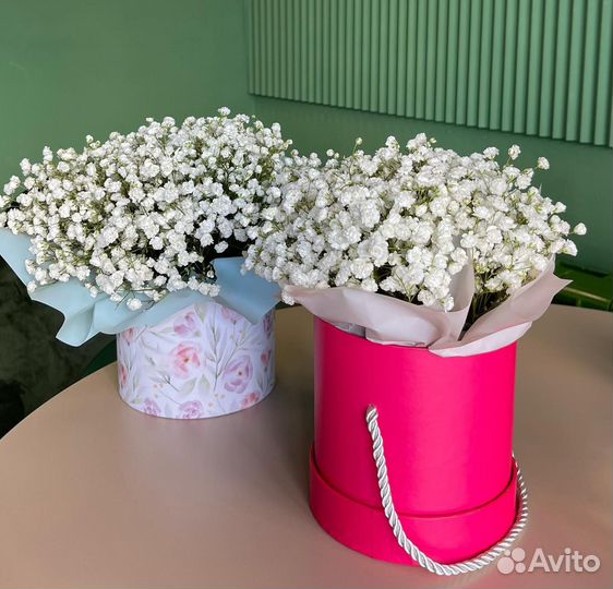 Композиции из Белой Гипсофилы. Доставка/Самовывоз