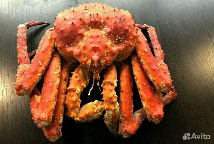 Краб Камчатский