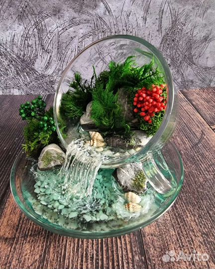 Моссариум в чайной паре-подарок на любой праздник