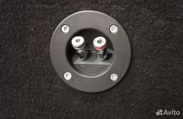 Сабвуфер Pioneer 12