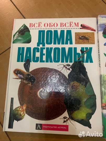 Энциклопедии про животных и насекомых