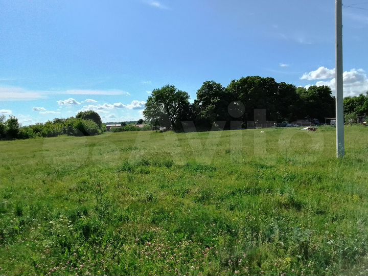 Участок 40 сот. (ИЖС)