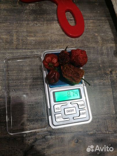 Тринидад, Нага морич, Чили