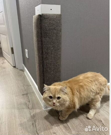 Когтеточка угловая для кошки