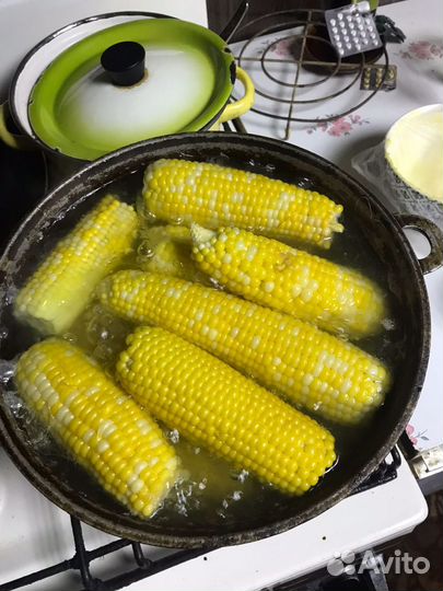 Сладкая сахарная кукуруза в початках