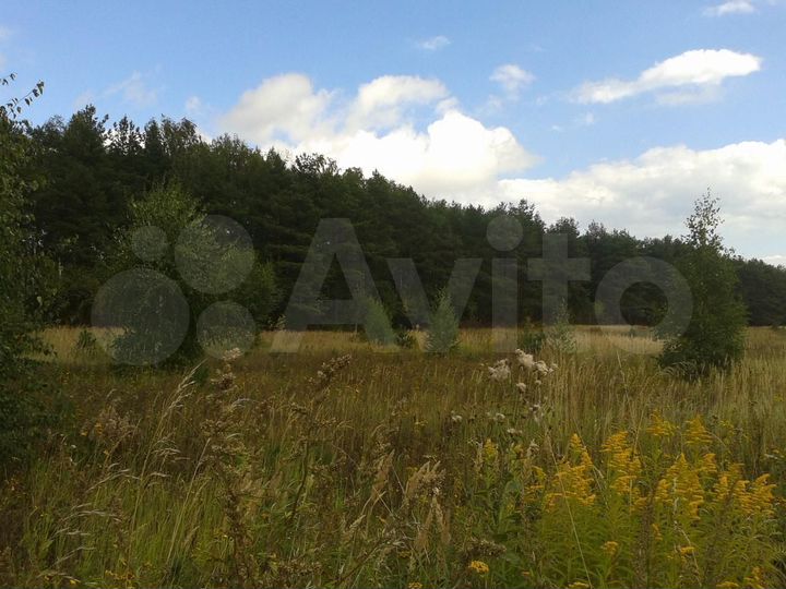Участок 8,5 сот. (СНТ, ДНП)