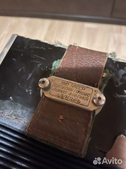 Баян алатырский